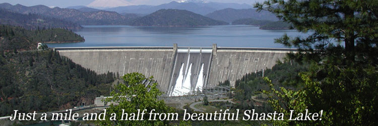 Amazing Shasta Dam